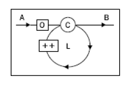 Bucle For JS